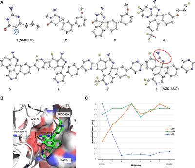 Fragment-Based Drug Discovery by NMR. Where Are the Successes and Where can It Be Improved?